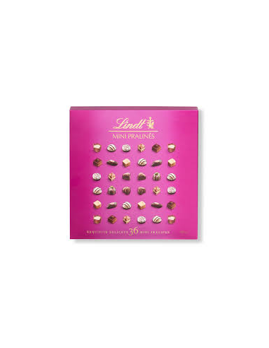 LINDT MINI PRALINE 180g