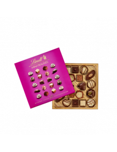 MINI PRALINE LINDT 100g