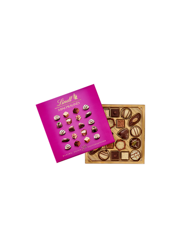 MINI PRALINE LINDT 100g