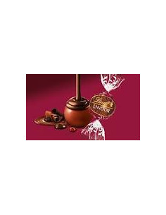 LINDOR DOPPIO CIOCCOLATO 300g