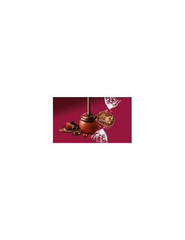 LINDOR DOPPIO CIOCCOLATO 300g