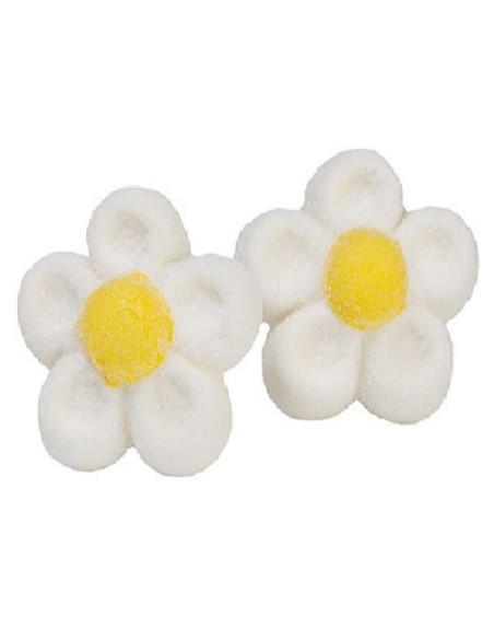 MARGHERITE MARSHMALLOW 900g