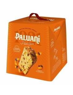 PANETTONE PALUANI 1Kg