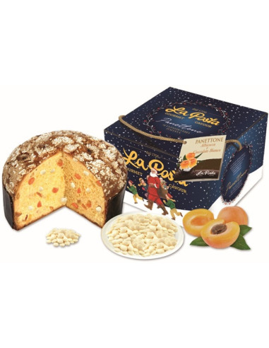 PANETTONE ALBICOCCA E CIOCCOLATO BIANCO1Kg