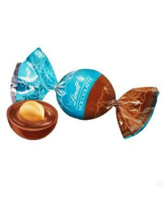 SACCHETTO NOCCIOLATTE LINDT  300g