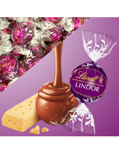 SACCHETTO LINDOR BISCOTTO NOVITA' 300g