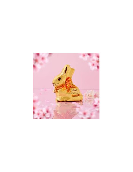 Outlet del dolce Quaranta - GOLD BUNNY biscotto crispy  LINDT 100 G
